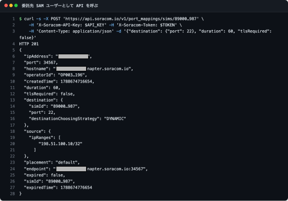 オンデマンドリモートアクセス作成 API の成功レスポンス